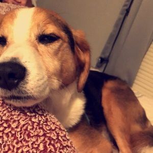 Meet your Posher, Claire